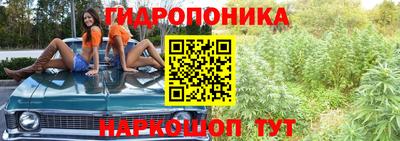 ешки Тверь
